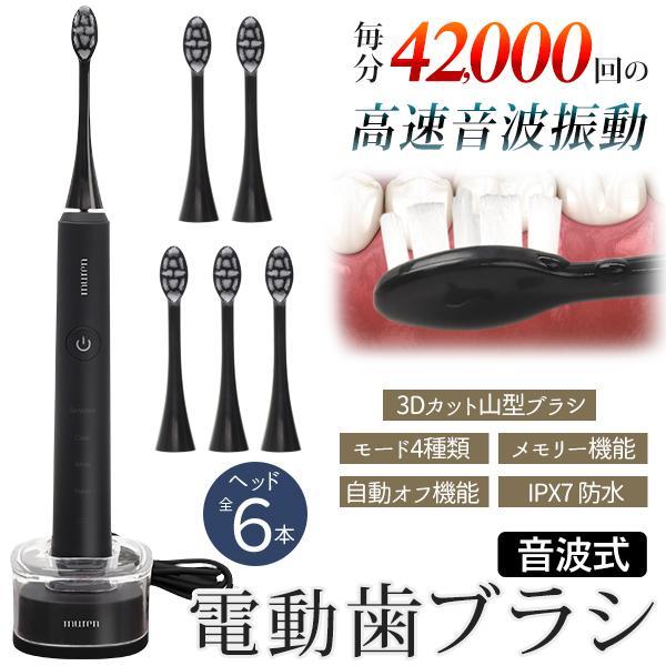 電動歯ブラシ 高速42000回振動 音波振動 替えブラシ付 本体+ヘッド6本