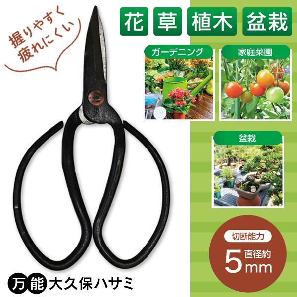 剪定ばさみ 強力 剪定鋏 大久保ハサミ 盆栽 園芸 花 ガーデン 枝切り