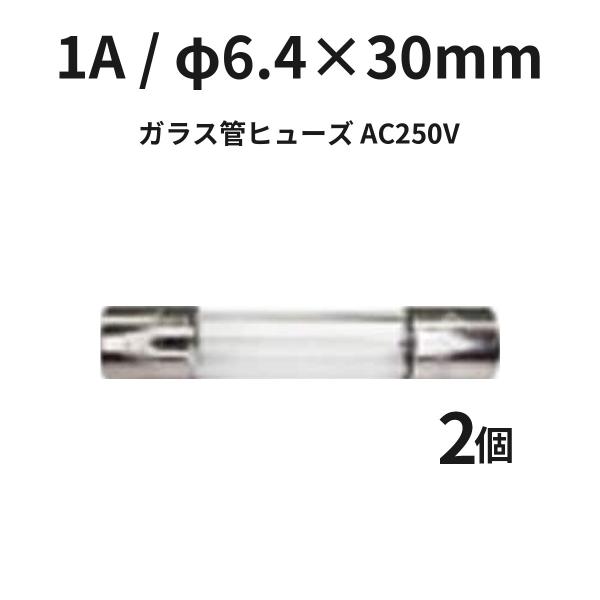 ガラス管ヒューズ 1A φ6.4×30mm FGBO2501-02P AC250V 2個入 管ヒューズ 電子機器 電源 冨士端子工業