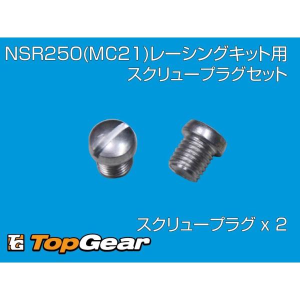スクリュープラグ　　ｘ2