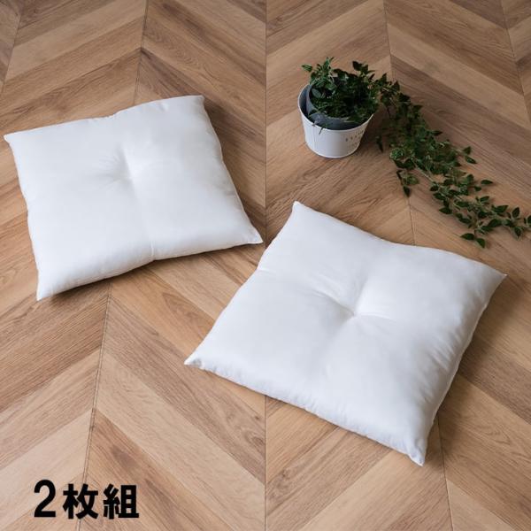 イケヒコ ヌードクッション 国産 日本製 洗える シート 椅子用 約45×45cm 2枚組 (NDS4545)