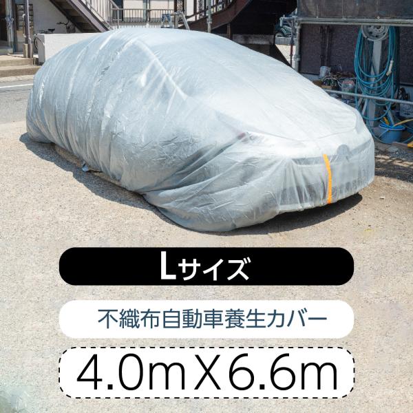 ԃJo[ ԗ{Jo[ (LTCY: 4.0×6.6m)  Jo[ J[{fBJo[ hق肩Ԃ \ʖhHsDz R{iRt jyk-l4066