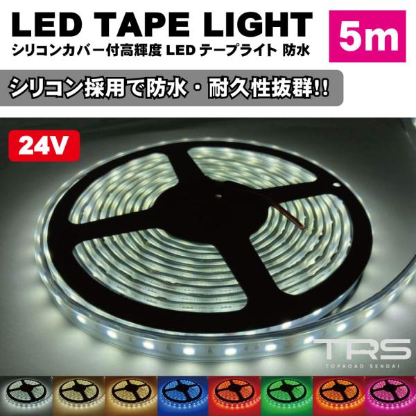■入数：1個■電圧：24V専用 (12V不可)■サイズ：全長5m×幅約6mm×厚さ12mm■品番・LEDカラー（328100）ホワイト（328101）中性ホワイト（328102）電球色（328103）ブルー（328104）レッド（32810...