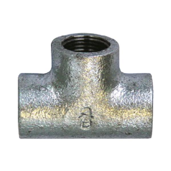 gbNpi WFbgCmEG `[Y 1/4C` Sz[Xp 505156