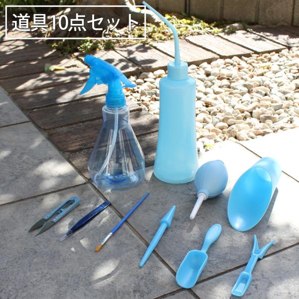 送料無料 ガーデニング ツール セット ブルー 水さし スプレー スコップ 土入れ ハサミ ピンセット ダストブロワー 移植用ツール 刷毛 家庭菜園 園芸用品 Diy トップセンス 通販 Paypayモール