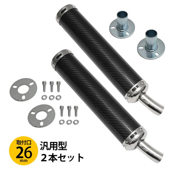 NSR250R TZR250 RGV250 R1-Z RZ250 RD250 400 RG250 カーボン