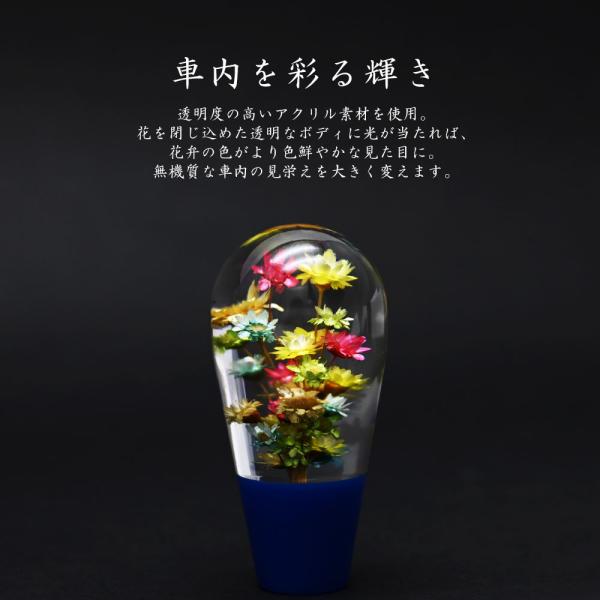 topsense_10006119_2_d_20260312130945