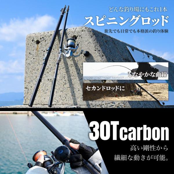 topsense_10006894_1_d_20260130180234