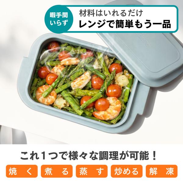 topsense_10007141_1_d_20260130180241