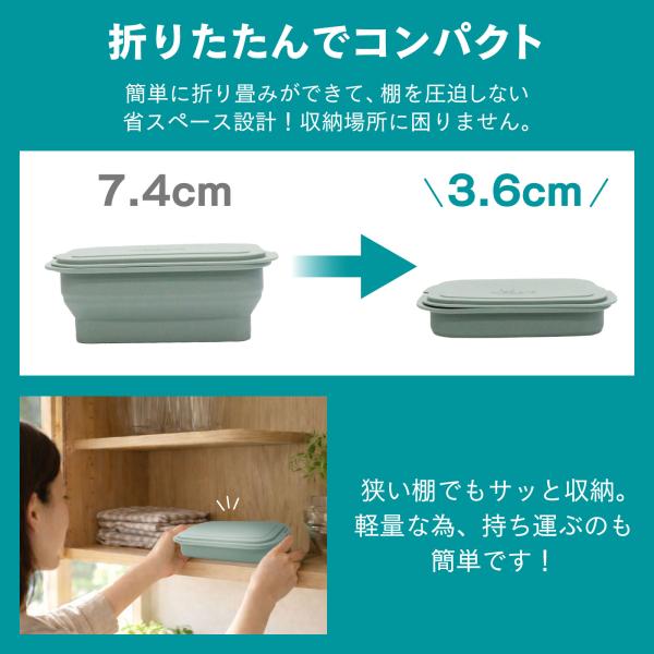 topsense_10007141_2_d_20260130180247