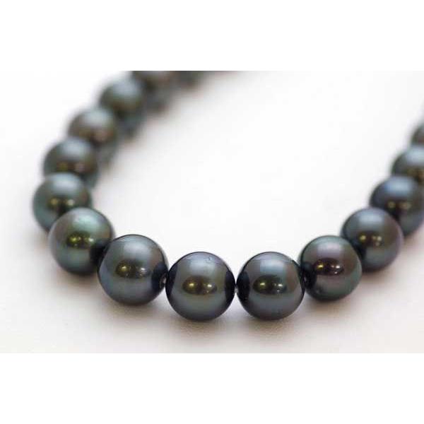 ^ p[lbNX 썕^lbNX  42cm