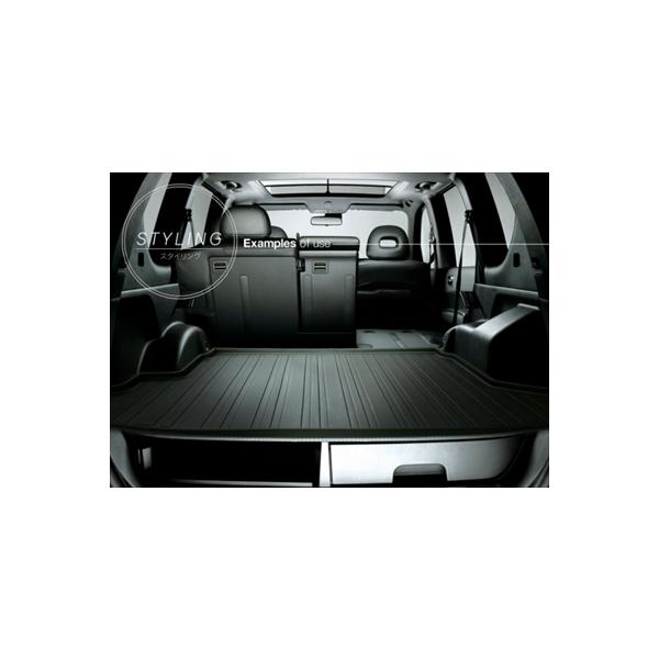 GNXgC T31 (H19/8`H25/11) ANbNX gNgC (gN}bg)