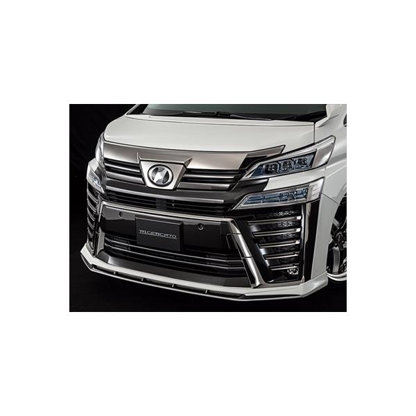 Ft@CA 30n ZO[h  RICERCATO tgn[tX|C[ fn