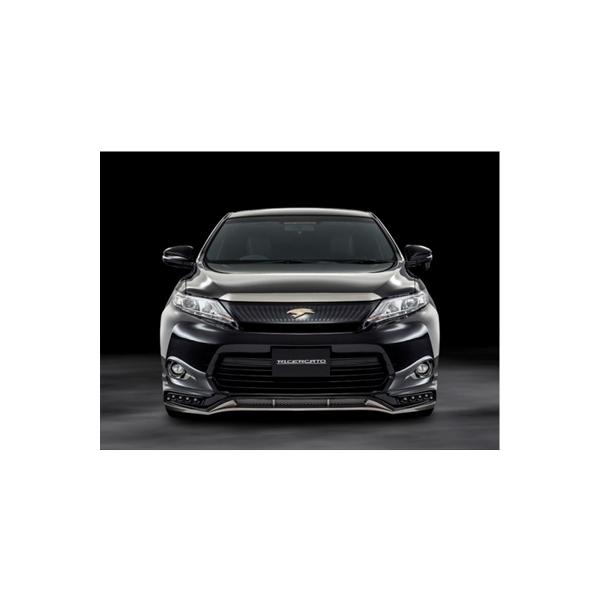 nA[ 60n O `FJ[g tgn[tX|C[