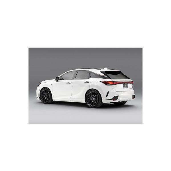 レクサス RX TALH17/TALA15 2022.11- RX500h/350 F-sport リアゲート
