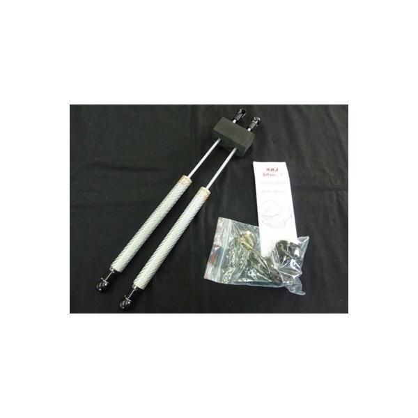 EBbV 10n {lbg_p[ Vo[J[{