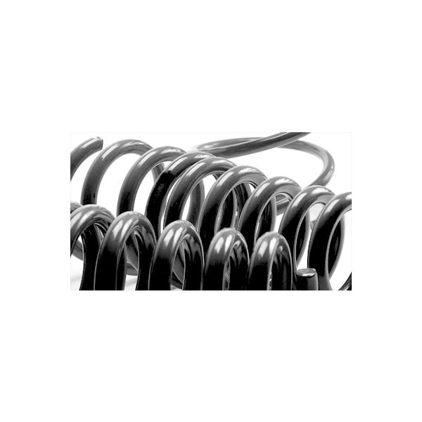 AUDI TT 8J 2004-2012 Lowering Springs