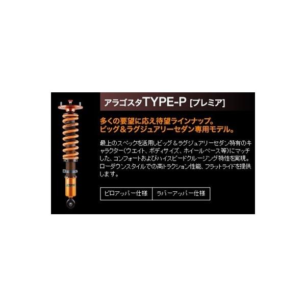 Aragosta TYPE-P \A UZZ40 o[Abp[dl