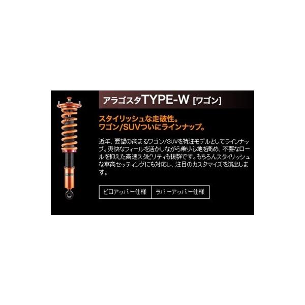 Aragosta TYPE-W CR-V RE4 sAbp[dl