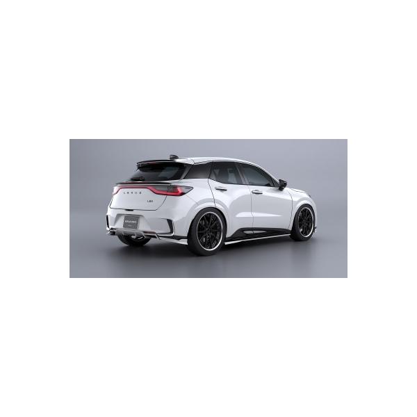 レクサス LBX BLACK LABEL リアゲートスポイラー カーボン製 未