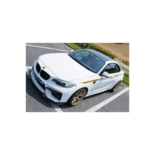 BMW F87 M2 (F22) Reverence Line ドライカーボンルーフパネル