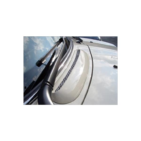 BMW Mini R50.R52.R53 GAO