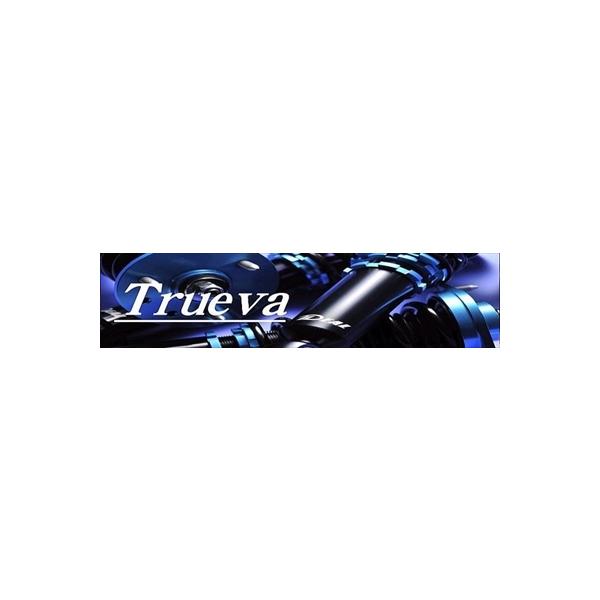 �X�J�C���C���N�[�y V35 Trueva �ԍ����L�b�g