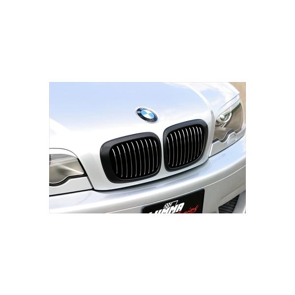 BMW E46 Front Panel Kidney from 3/03 use except coupe (1 piece)