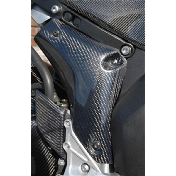 CBR1000RR 06-07 }t[q[gK[h DJ[{