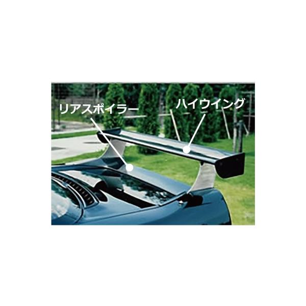 NSX nCEBO+AX|C[Zbg FRP