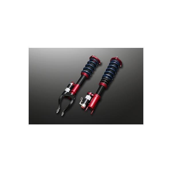 GT-R R35 ESTA�t���X�y�b�N�T�X�y���V���� II