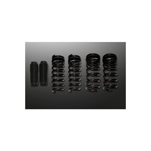 }CYACobnXvOLbg t[K Y50(250)