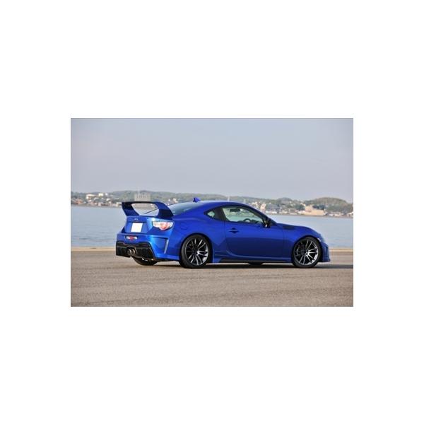 BRZ StyleSports ώAECO J[{