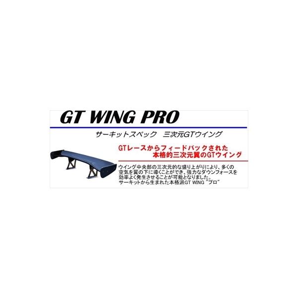 ėp GT WING PRO i1,510mmj J[{ D