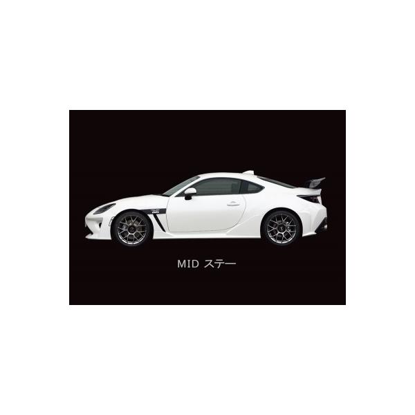 toptuner-store_sadz000386-002-00