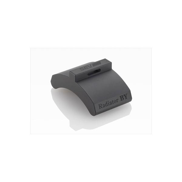 SEV/�Z�u ���W�G�^�[BY 1��