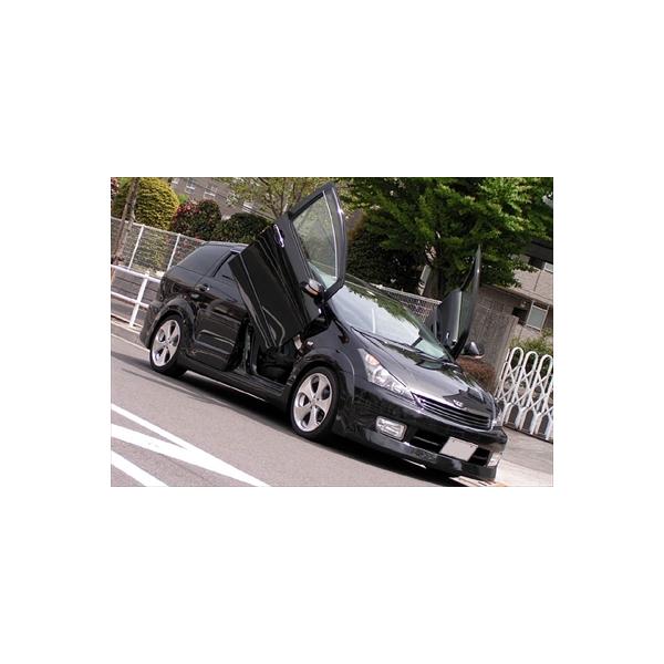 EBbV (ANE/ZNE10n) BORZOI WING SYSTEM