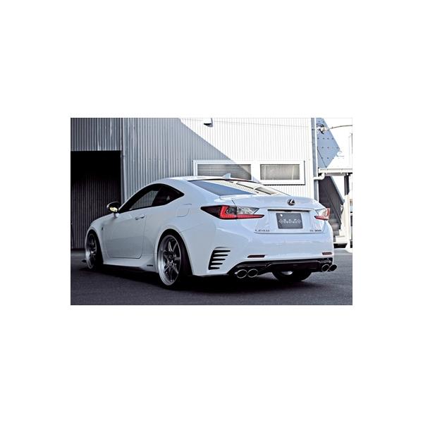 NTX RC350/300h/200t F-SPORTSp AA_[X|C[ FRP hς