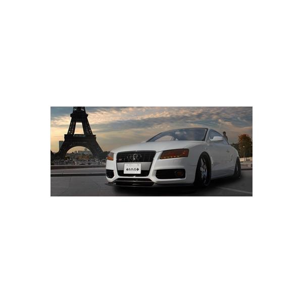 SKIPPER SKPDEZIGN SMARTLINE SERIES AEfBEA5/S5 Rear Under Diffuser FRP ht