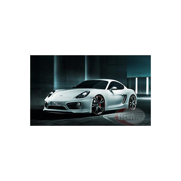 テックアート Porsche 981 Cayman エアチャンネルトリム 塗装取付込 