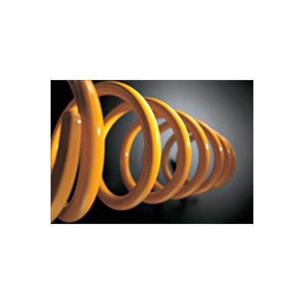 ANA NHP10 fX^ [_EXvO 15C`^C u[v