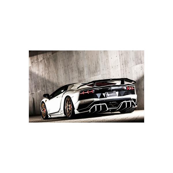 ランボルギーニ  アヴェンタドール  S  LP740-4  2017.1〜リヤレーシングディフューザー  カーボン