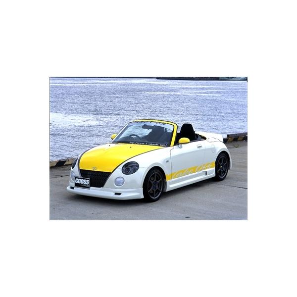 Ry L880K CROSS 3_Zbg ( bv )