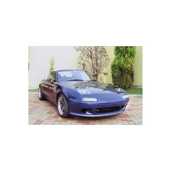 [hX^[ NA tgop[X|C[Type1 ht