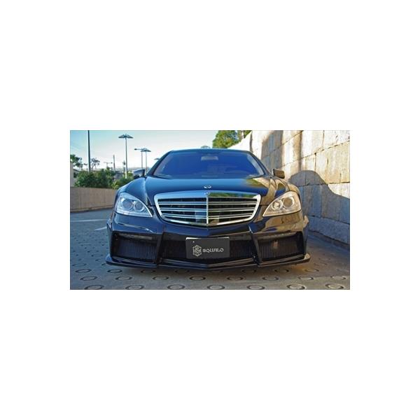 BENZ S-Class W221 XNA[ tgop[