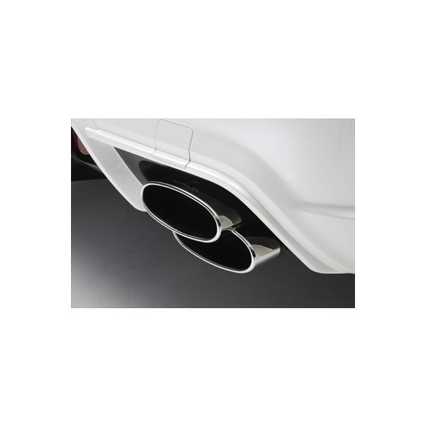 S-class W221 MC/after SPORTS LINE Black Bison Edition D.T.M SPORTS  MUFFLER CUTTER (PILED160X2)(2010y`)