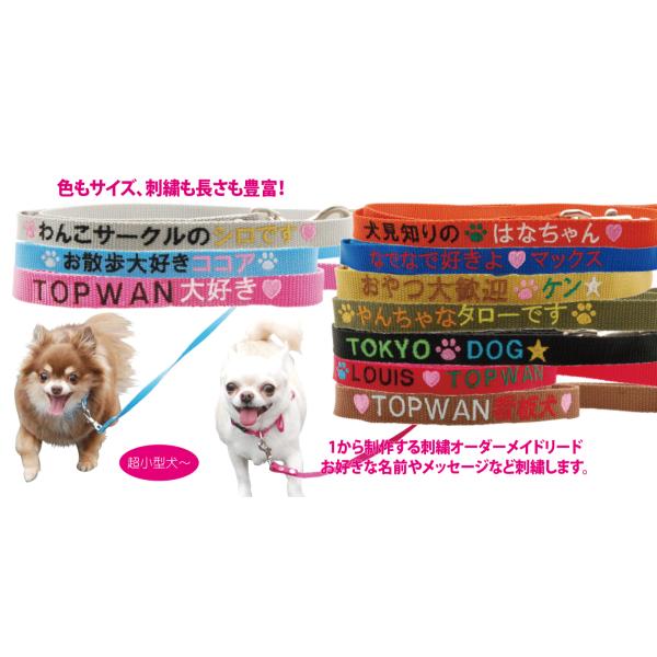 topwan_shisyunylonlead-s