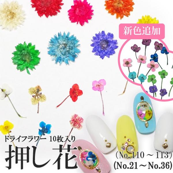 【特徴】●レジンやネイルの封入素材として使ったり、コーティングしてアクセサリーにしても可愛い♪●天然素材のため、花弁の枚数や大きさはそれぞれ異なります★サンプル使用★32.ピンク系34.イエロー系35.ブルー系※画像参照＊自然のものですので...