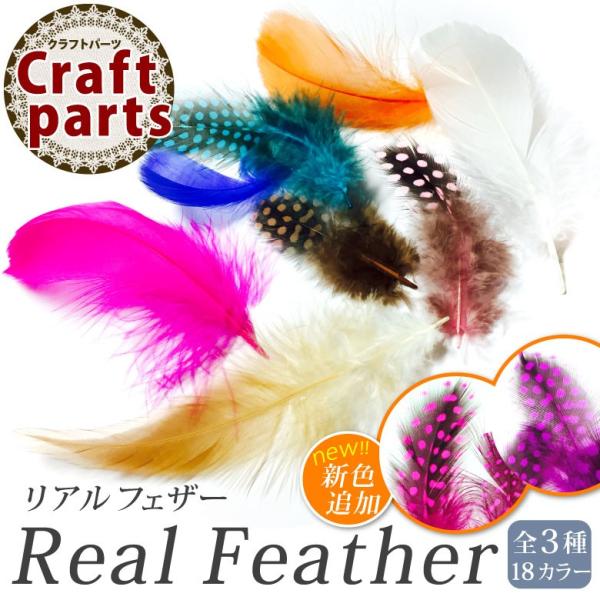 AtFU[ S3@6 O[X/zz/RL[/A[gtFU[lC/lCeBu/