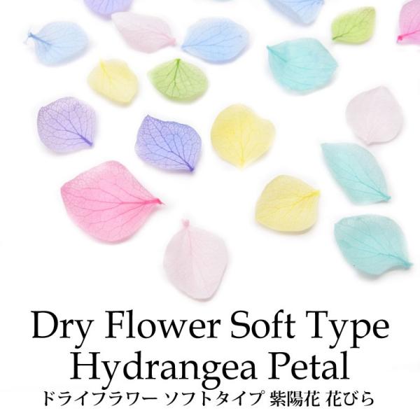 hCt[ \tg^Cv z Ԃт e 10 (11-21)